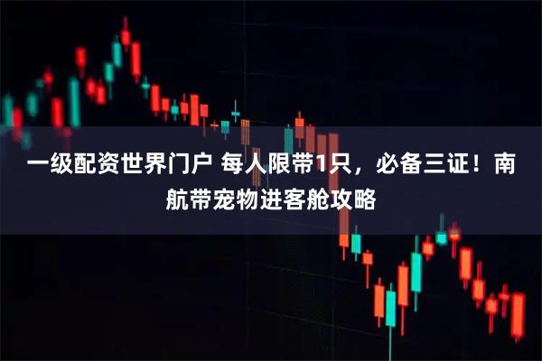 一级配资世界门户 每人限带1只，必备三证！南航带宠物进客舱攻略
