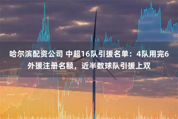 哈尔滨配资公司 中超16队引援名单：4队用完6外援注册名额，近半数球队引援上双